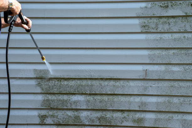 Best Shed Removal  in Northampton, MA