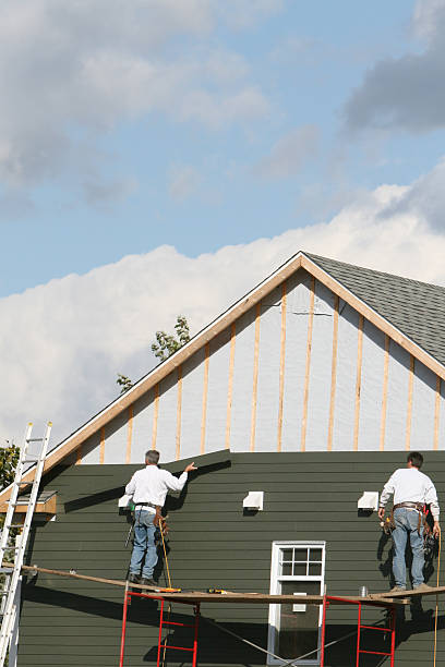 Best Dumpster Rental Services  in Northampton, MA