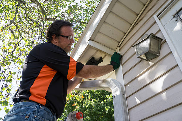 Best Carpet Removal and Disposal  in Northampton, MA